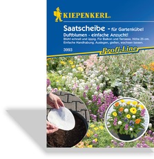 Saatscheibe Niedrige Duftblumen