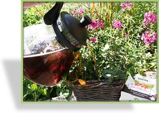 Tee für Pflanzen Bio-Guss Universal