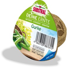 SUBSTRAL Deine Ernte - Gurke