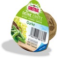 SUBSTRAL Deine Ernte - Gurke
