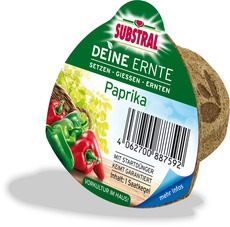 SUBSTRAL Deine Ernte - Paprika