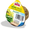SUBSTRAL Deine Ernte - Zucchini
