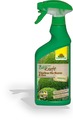 BioKraft Vitalkur für Buxus und Ilex AF