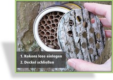 Bienen-Dose für Balkon