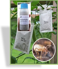 Thrips Powerpack Extra