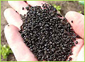Foto Granulate gegen Schnecken im Garten