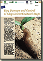 Slug damage and control