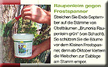 Raupenleim gegen Frostspanner