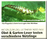 Obst & Garten-Leser testen verschiedene Nützlinge