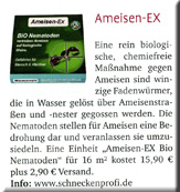 Ameisen-Ex